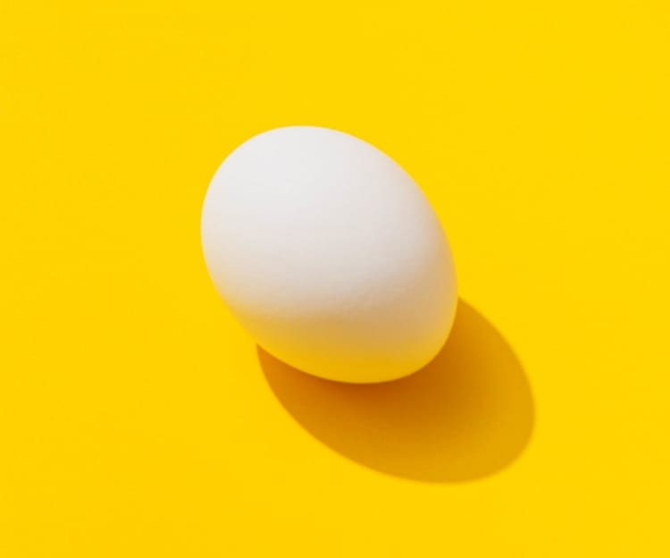 egg_transform